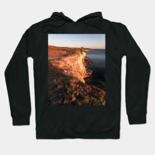 Cliff View Hoodie